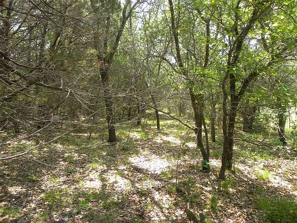 0.33 Acres of Residential Land for Sale in Whitney, Texas