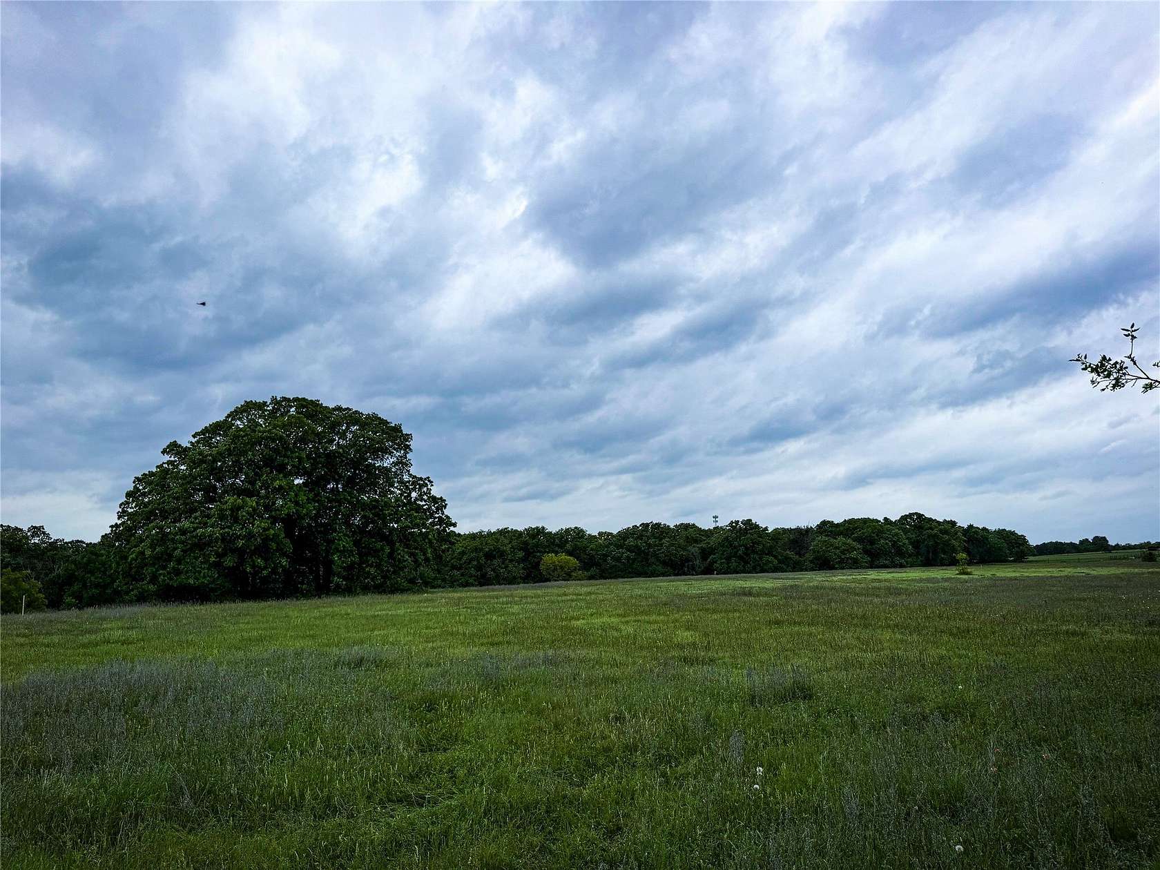 4 Acres of Residential Land for Sale in Springtown, Texas