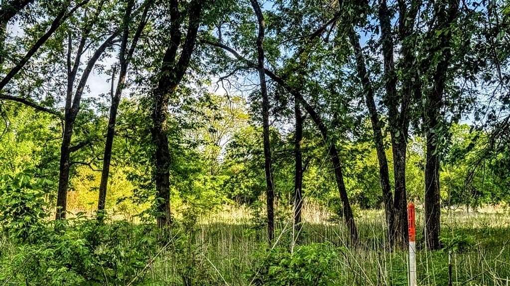 4 Acres of Land for Sale in Blossom, Texas