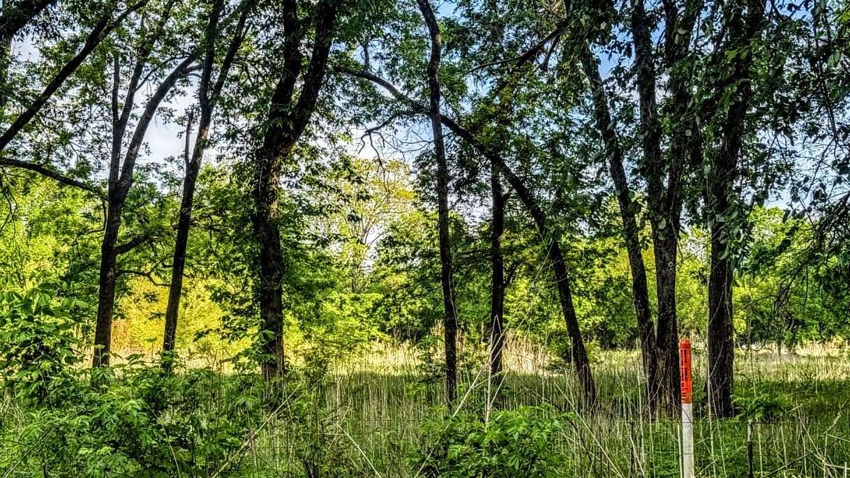 4 Acres of Residential Land for Sale in Blossom, Texas
