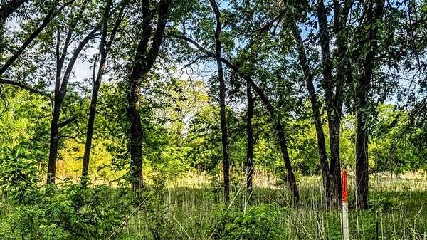 4 Acres of Land for Sale in Blossom, Texas
