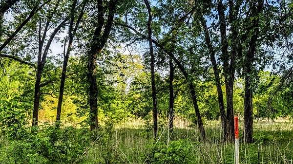4 Acres of Residential Land for Sale in Blossom, Texas