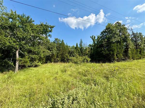 0.03 Acres of Residential Land for Sale in Log Cabin, Texas