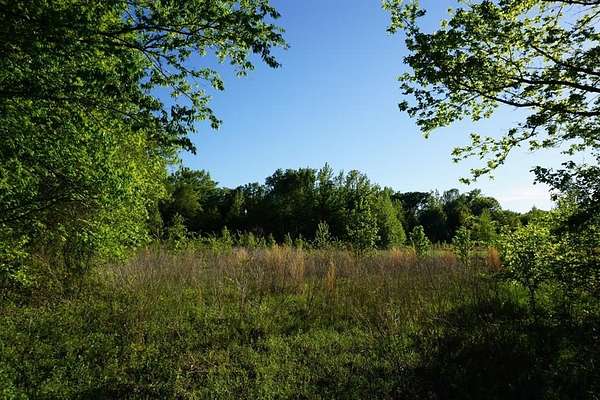 6 Acres of Residential Land for Sale in Murchison, Texas