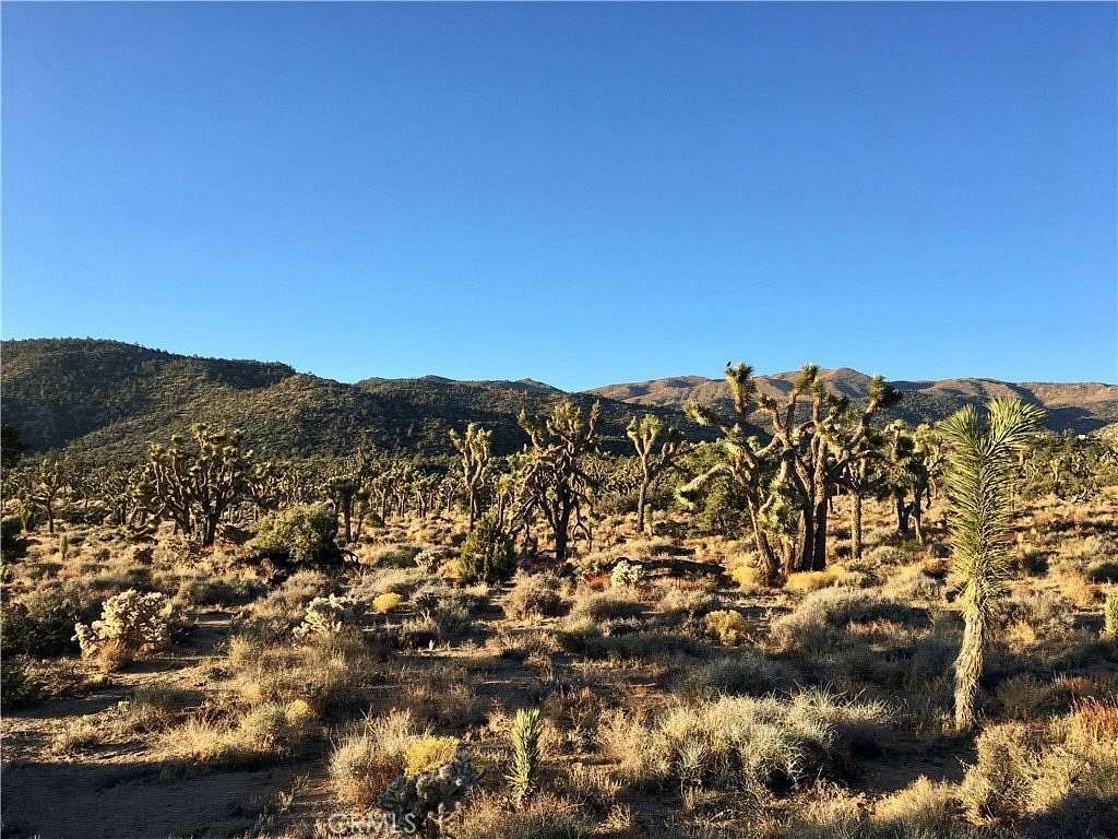 5 Acres of Land for Sale in Pioneertown, California