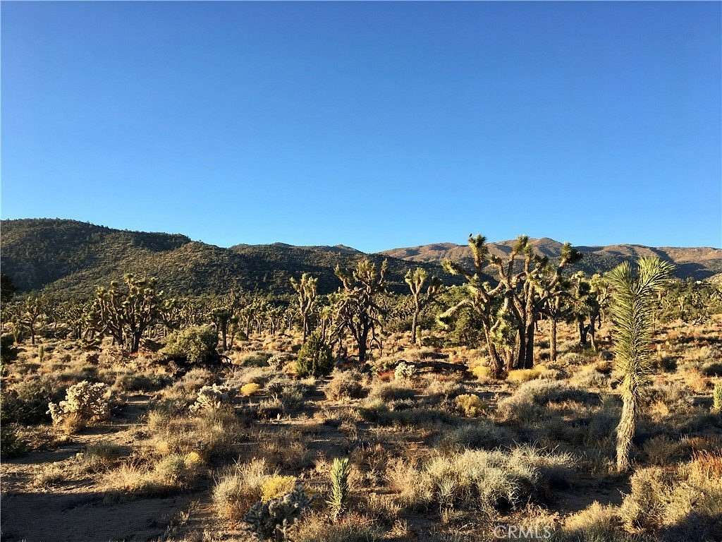 5 Acres of Land for Sale in Pioneertown, California