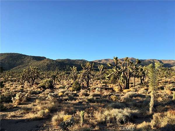 5 Acres of Land for Sale in Pioneertown, California