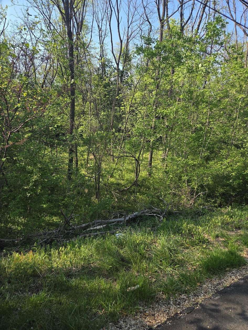 0.12 Acres of Residential Land for Sale in Roanoke, Virginia