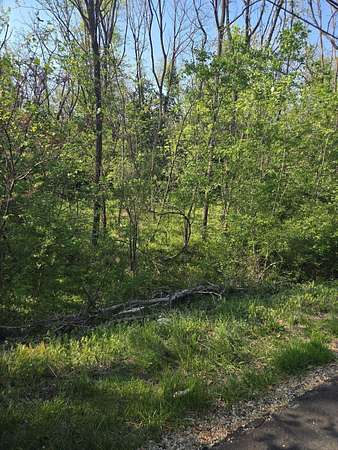 0.12 Acres of Residential Land for Sale in Roanoke, Virginia