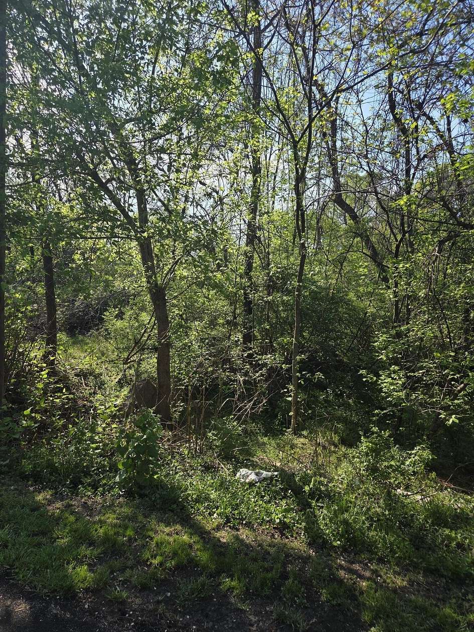 0.12 Acres of Land for Sale in Roanoke, Virginia