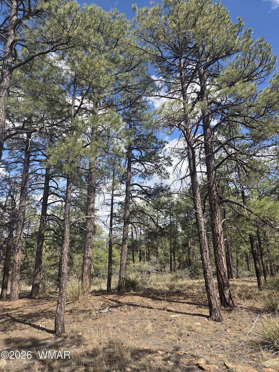10 Acres of Residential Land for Sale in Show Low, Arizona