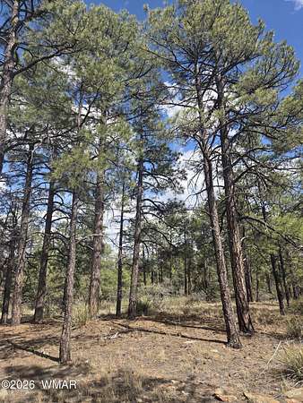 10 Acres of Residential Land for Sale in Show Low, Arizona