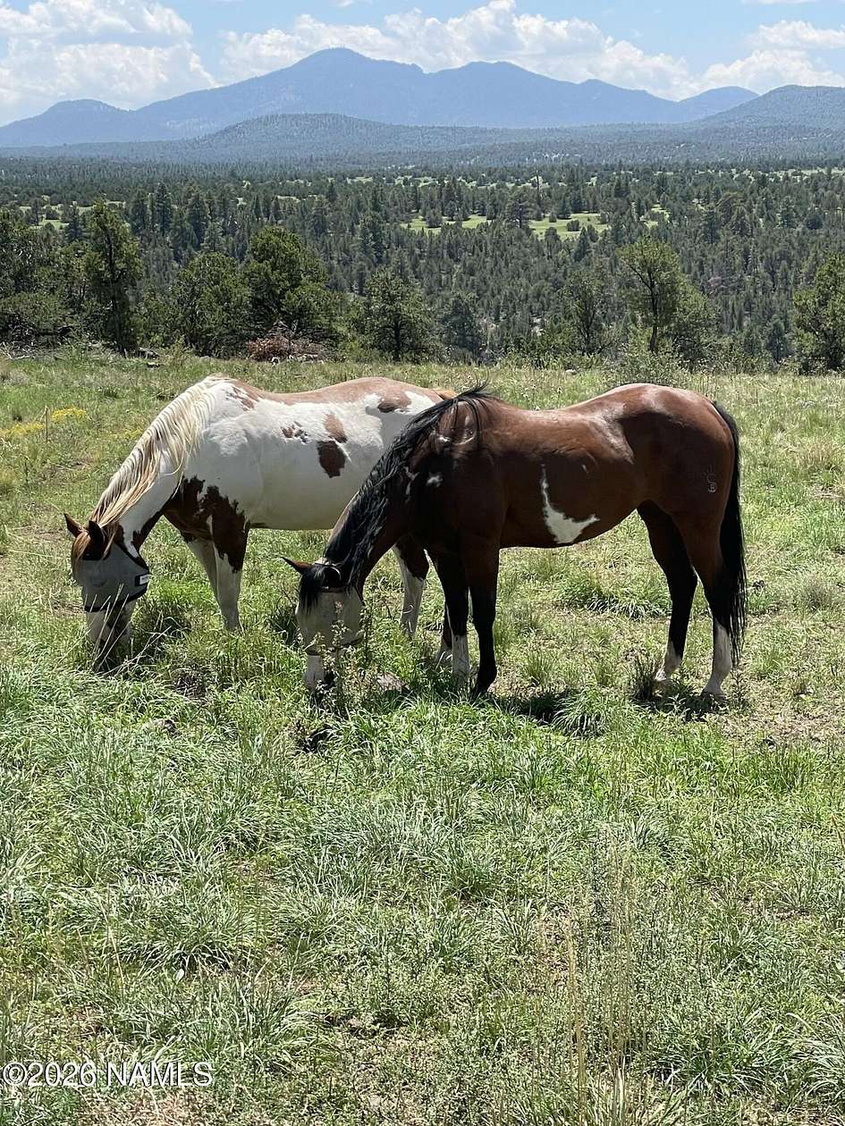 36.2 Acres of Land with Home for Sale in Williams, Arizona