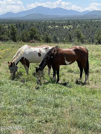 36.2 Acres of Land with Home for Sale in Williams, Arizona