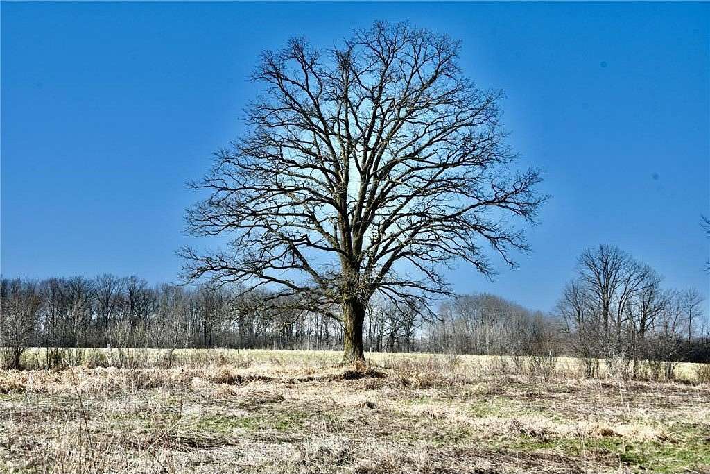 10 Acres of Land for Sale in Milaca, Minnesota