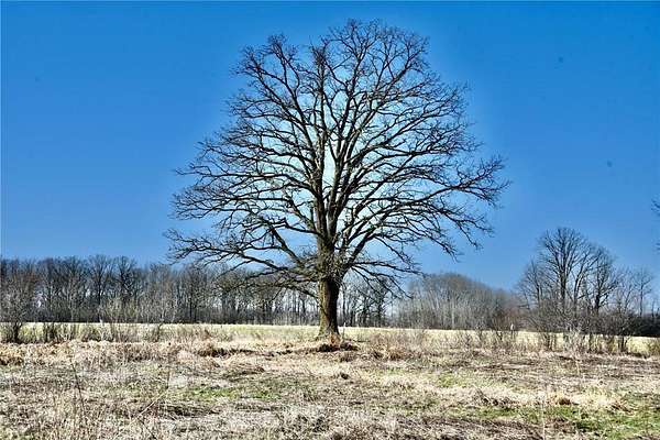 10 Acres of Land for Sale in Milaca, Minnesota