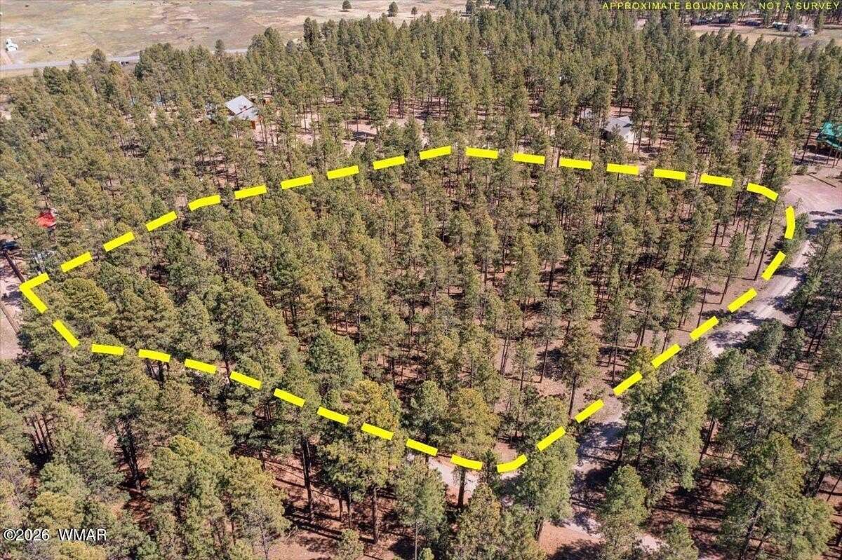 4.82 Acres of Residential Land for Sale in Alpine, Arizona
