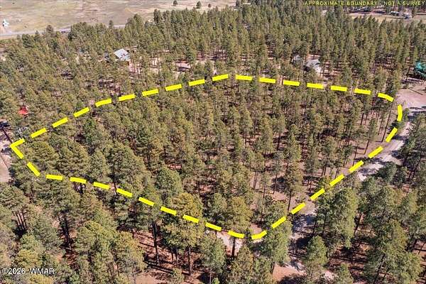 4.82 Acres of Residential Land for Sale in Alpine, Arizona