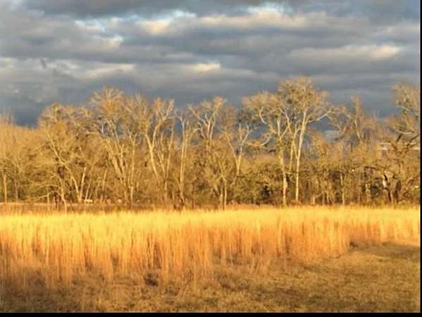 70 Acres of Recreational Land for Sale in Macon, Mississippi