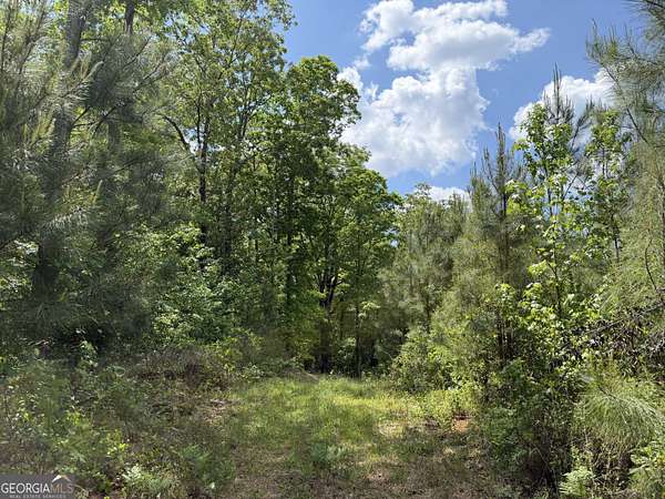 20.5 Acres of Recreational Land for Sale in Cuthbert, Georgia