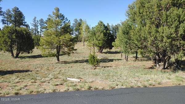1 Acre of Residential Land for Sale in Overgaard, Arizona