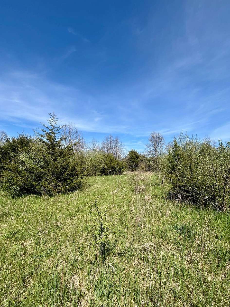 12.3 Acres of Recreational Land for Sale in Mount Pleasant, Iowa