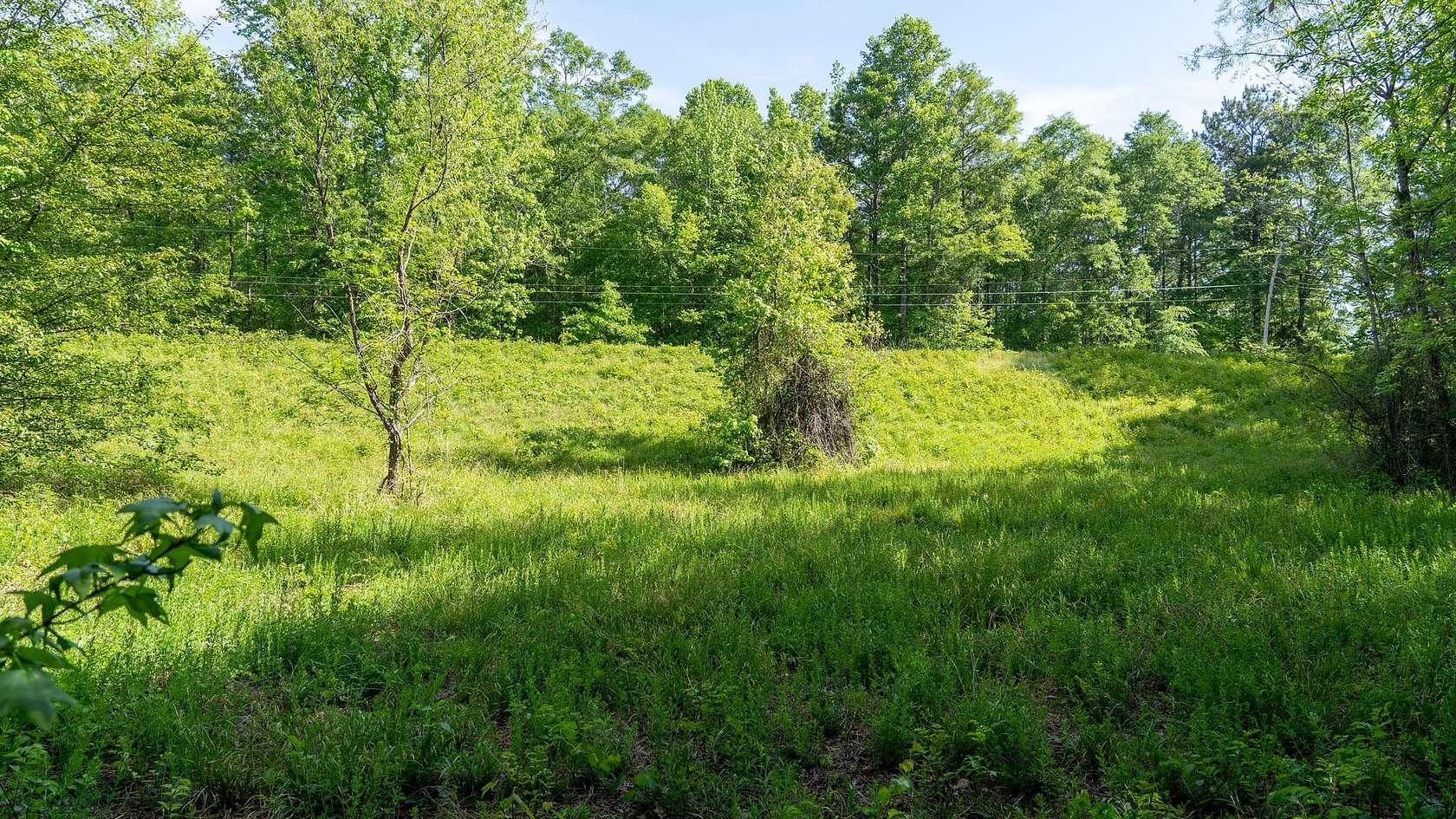 6.79 Acres of Land for Sale in Wilsonville, Alabama