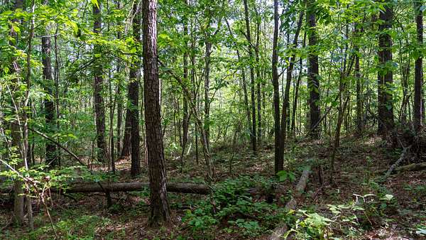 0.82 Acres of Land for Sale in Wilsonville, Alabama