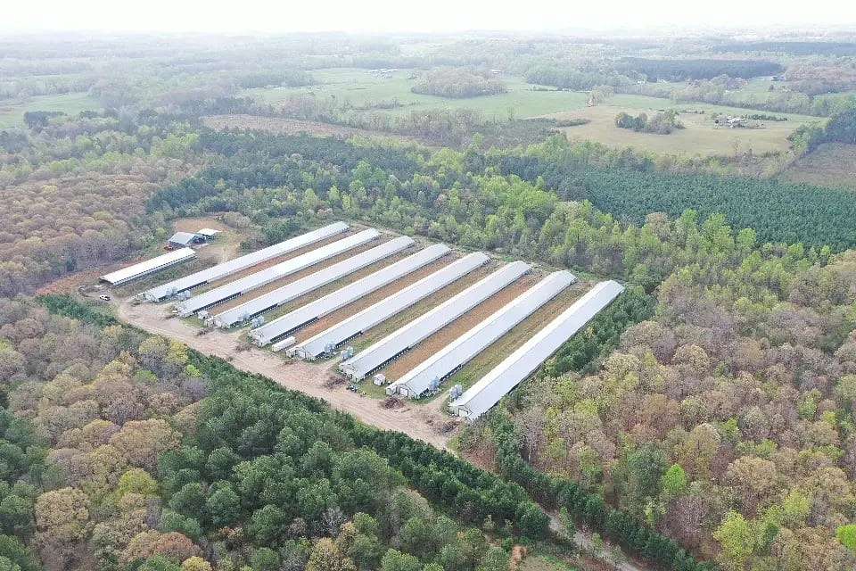 70 Acres of Land for Sale in Lawndale, North Carolina