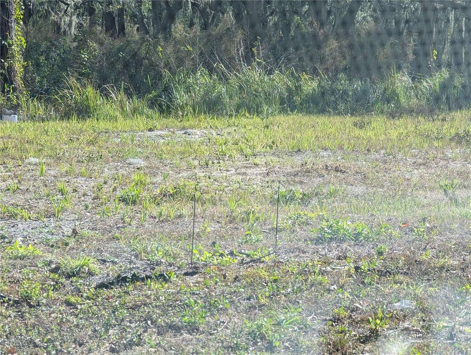0.15 Acres of Residential Land for Sale in Mulberry, Florida