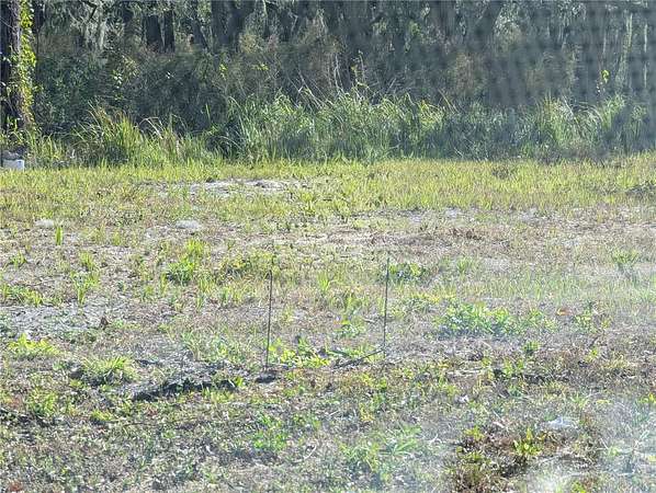 0.15 Acres of Residential Land for Sale in Mulberry, Florida