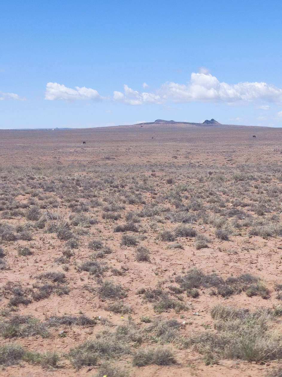 1.25 Acres of Residential Land for Sale in Holbrook, Arizona