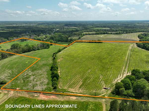 80 Acres of Land for Sale in Dothan, Alabama