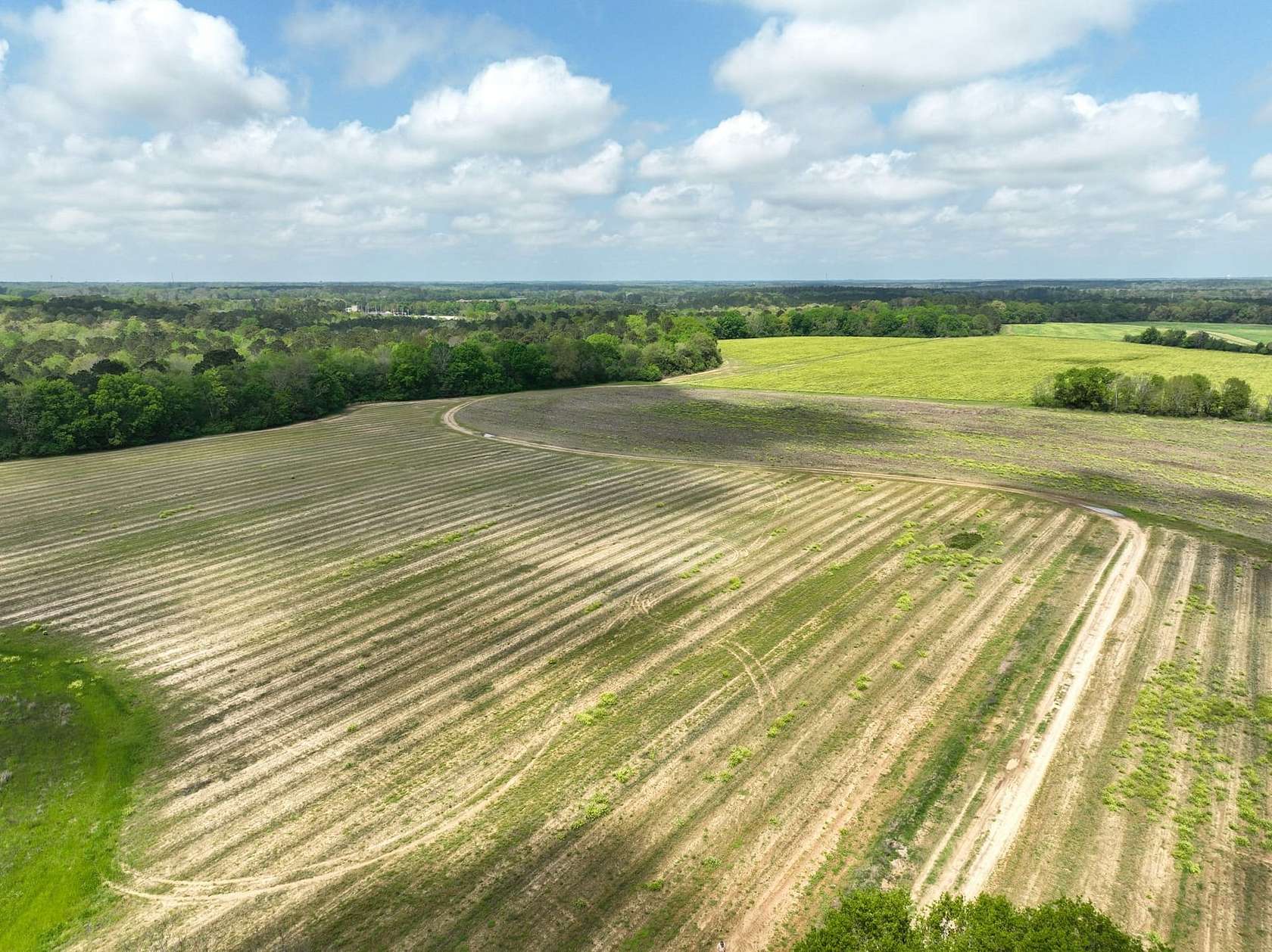 85 Acres of Land for Sale in Dothan, Alabama