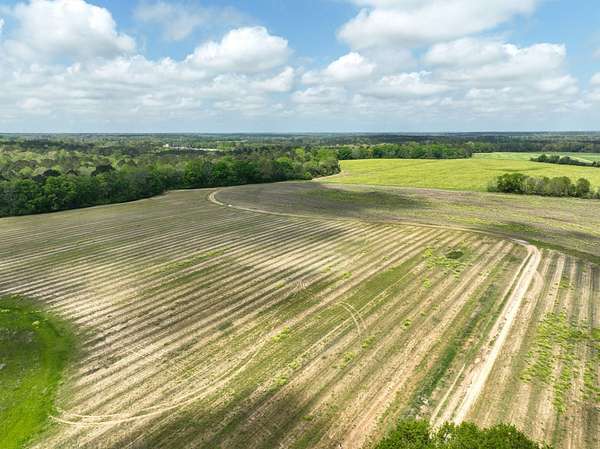 85 Acres of Land for Sale in Dothan, Alabama