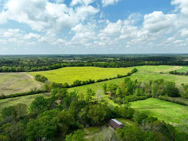 19 Acres of Land for Sale in Dothan, Alabama