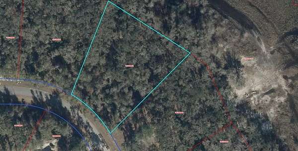 1 Acre of Residential Land for Sale in Chiefland, Florida