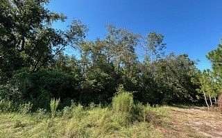 10 Acres of Land for Sale in Live Oak, Florida