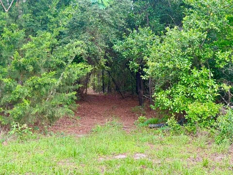 33.7 Acres of Recreational & Residential Land for Sale in Warren, Texas