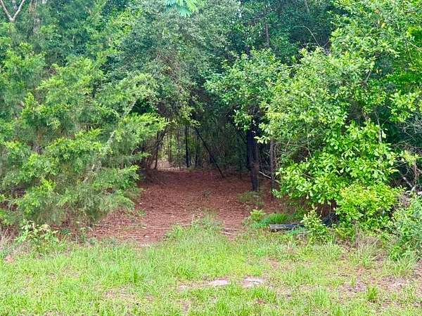 33.7 Acres of Recreational & Residential Land for Sale in Warren, Texas