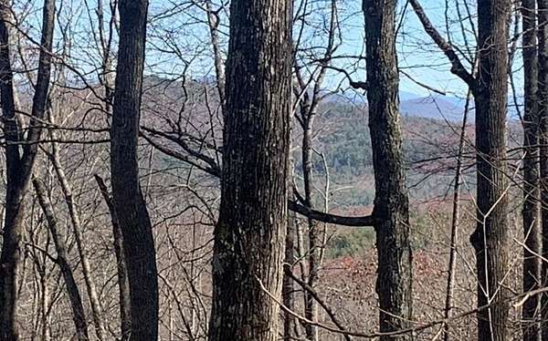 1.68 Acres of Residential Land for Sale in Blairsville, Georgia