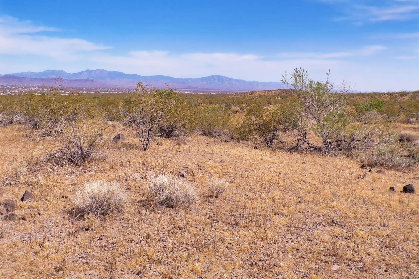 2 Acres of Residential Land for Sale in Golden Valley, Arizona