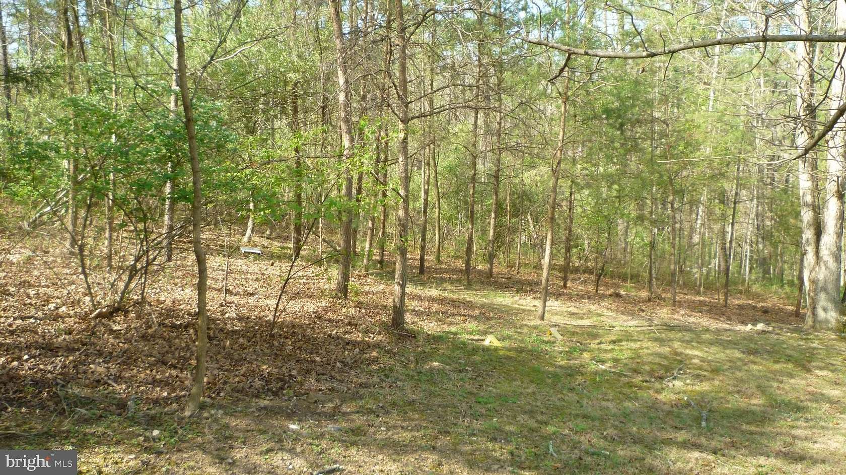 0.31 Acres of Land for Sale in Basye, Virginia