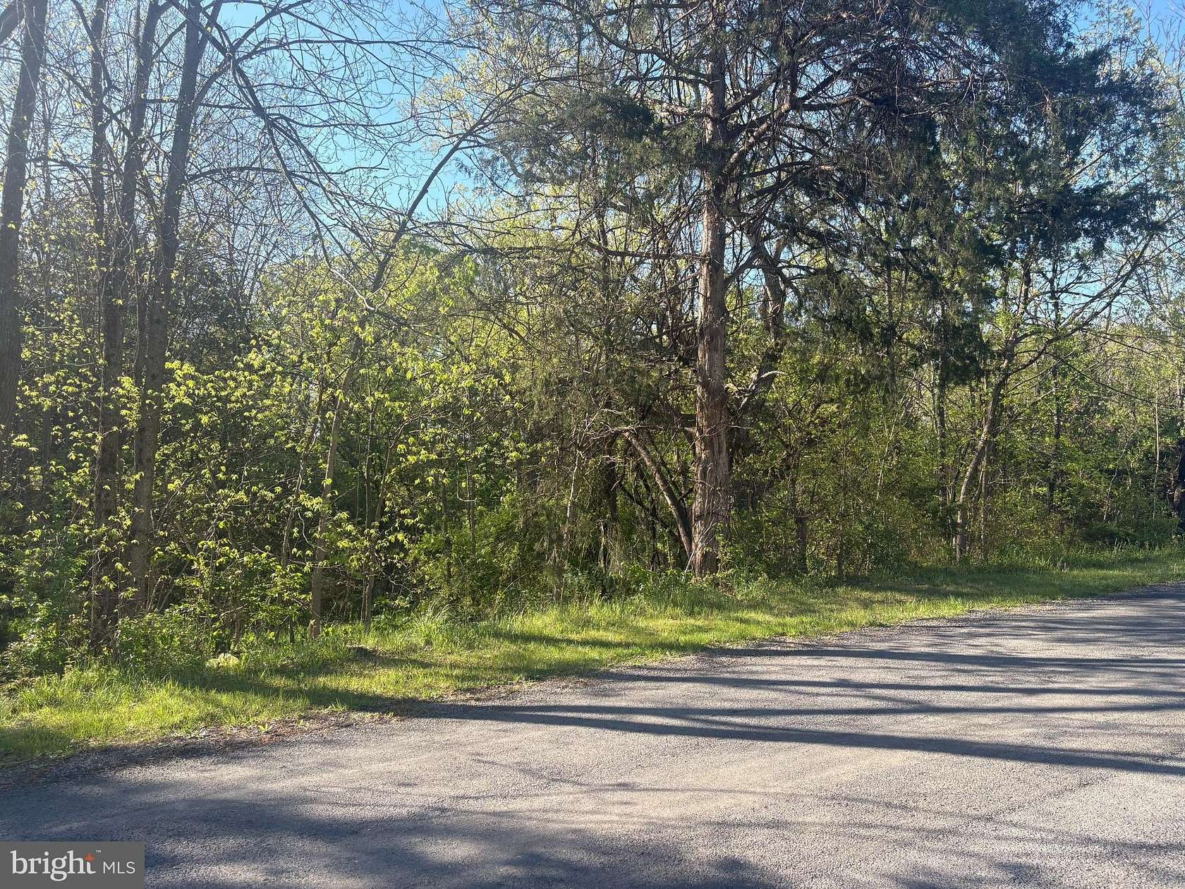 0.6 Acres of Land for Sale in Maurertown, Virginia