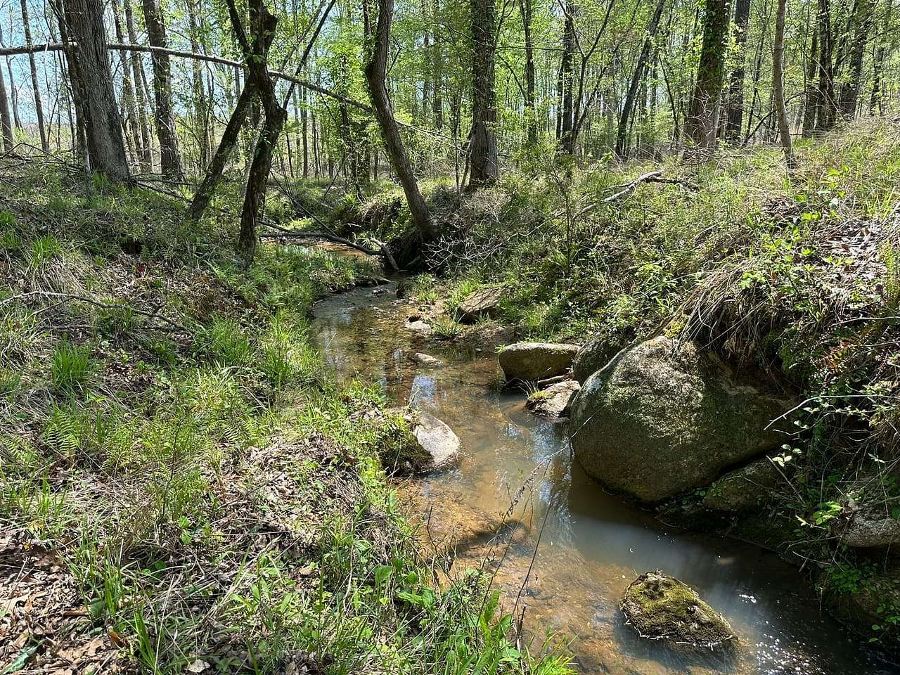 230 Acres of Land for Sale in Rockford, Alabama