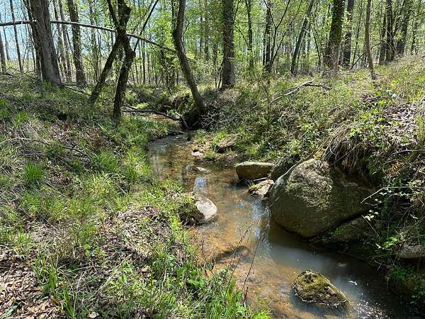 230 Acres of Land for Sale in Rockford, Alabama