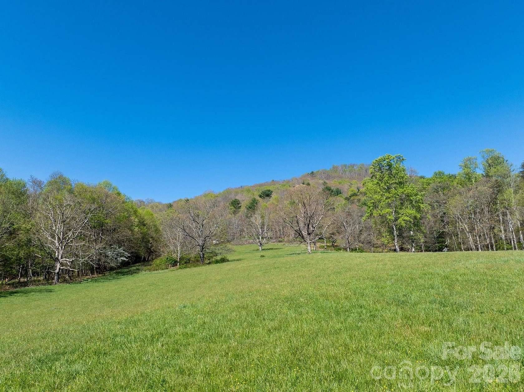 14.9 Acres of Land for Sale in Asheville, North Carolina
