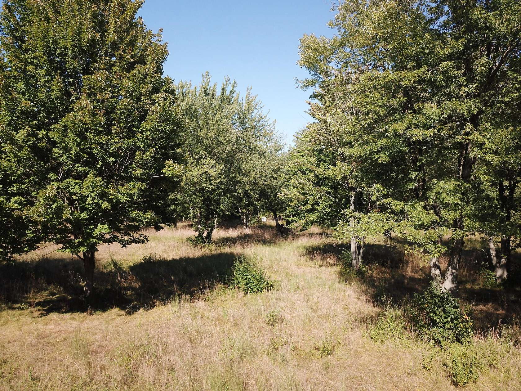 5 Acres of Residential Land for Sale in Stevensville, Michigan