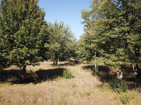 5 Acres of Residential Land for Sale in Stevensville, Michigan