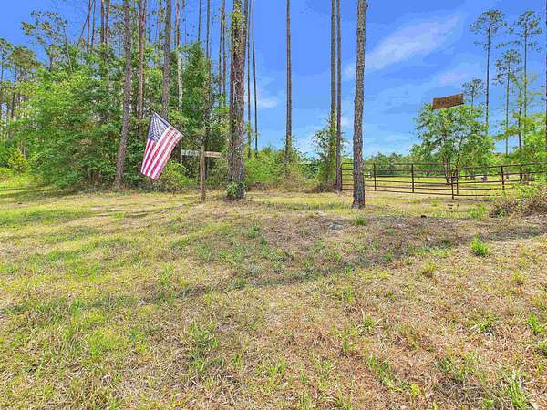 41.2 Acres of Recreational Land for Sale in Greenville, Florida
